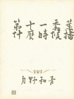 第十一季叶罗丽什么时候播出