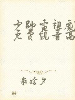 少帅电视剧全集免费观看高清