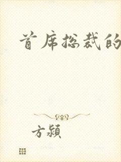 首席总裁的逃妻