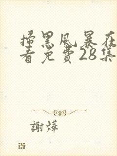 扫黑风暴在线观看免费28集