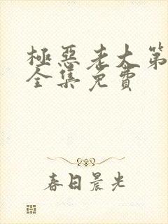 极恶老大第二季全集免费封面