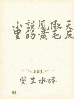 小说凤傲天小说里的黄毛反派也想幸福封面