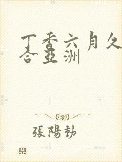 丁香六月久久综合亚洲