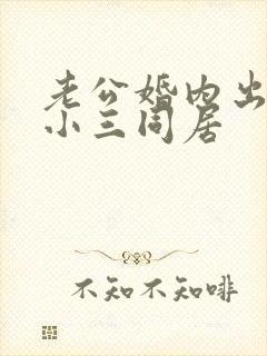 老公婚内出轨跟小三同居