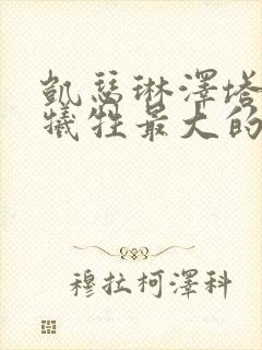 凯瑟琳泽塔琼斯牺牲最大的电影