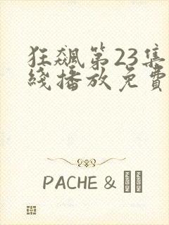 狂飙第23集在线播放免费观看封面