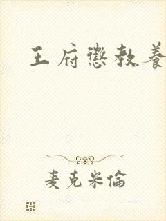 王府惩教养日常