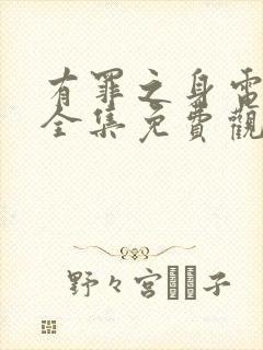 有罪之身电视剧全集免费观看高清