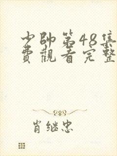 少帅第48集免费观看完整版