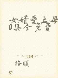 女婿爱上母娘40集全免费