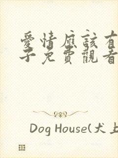 爱情应该有的样子免费观看电视剧