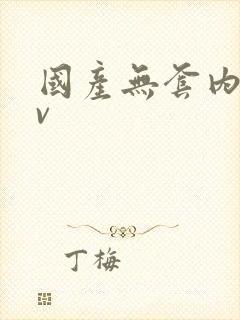 国产无套内射gv