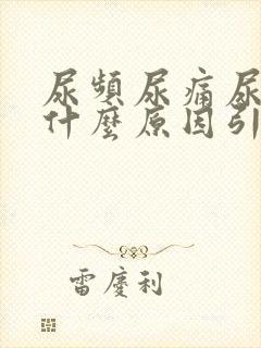 尿频尿痛尿不尽什么原因引起的