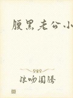 腹黑老公小萌妻