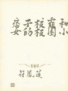 痞子校霸和乖乖女的校园小说