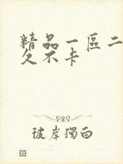 精品一区二区久久不卡