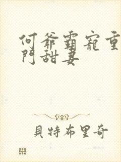 何爷霸宠重生豪门甜妻封面