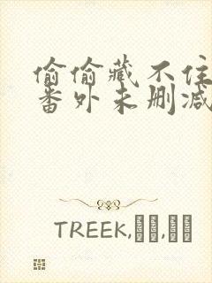 偷偷藏不住新婚番外未删减txt