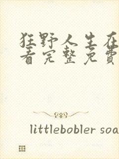 狂野人生在线观看完整免费高清原声满天星封面