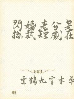 闪婚老公是亿万总裁短剧在线观看