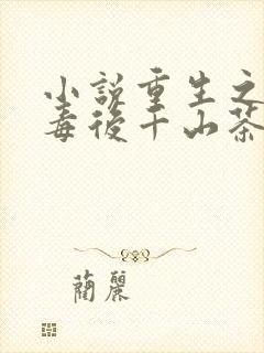 小说重生之将门毒后千山茶客外传