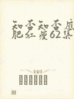 知否知否应是绿肥红瘦62集全免费