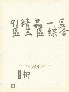 91精品一区二区三区综合在线