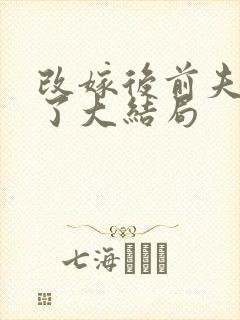 改嫁后前夫悔疯了大结局封面