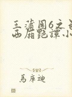 玉蒲团6之色情西厢艳谭小说封面