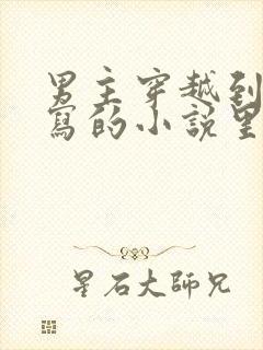 男主穿越到自己写的小说里