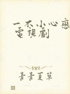 一不小心恋爱了 电视剧