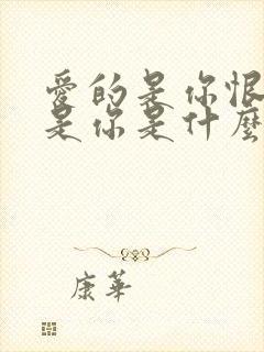 爱的是你恨的也是你是什么歌