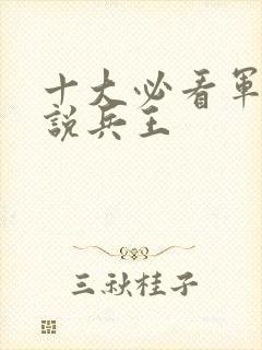 十大必看军事小说兵王