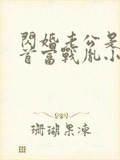 闪婚老公是千亿首富战胤小说最新