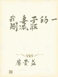 我妻子的一切未删减版