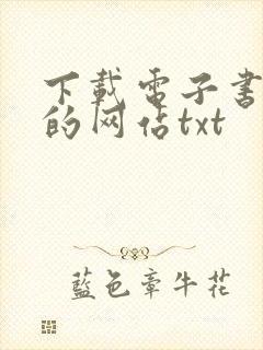 下载电子书免费的网站txt