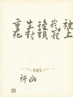 重生后我被渣男死对头宠上天安暖封面