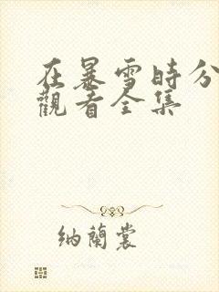 在暴雪时分免费观看全集