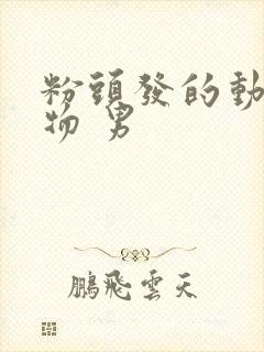 粉头发的动漫人物 男