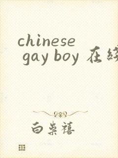 chinese gay boy 在线视频