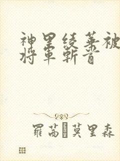 神里绫华被雷电将军斩首