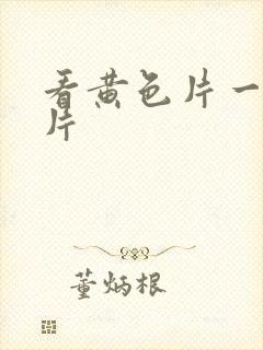 看黄色片一级大片