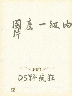 国产一级内射一片