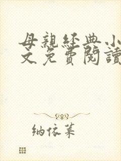 母亲经典小说全文免费阅读封面