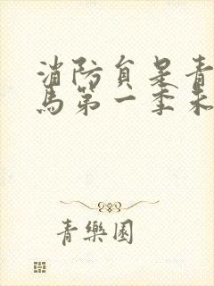 消防员是青梅竹马第一季未删版