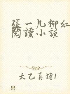 张一凡柳红免费阅读小说