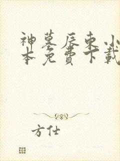 神墓辰东小说全本免费下载