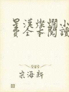 星汉灿烂小说免费全本阅读