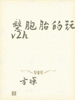 双胞胎的玩具1v2h