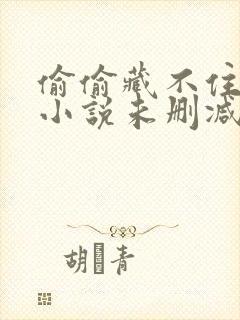 偷偷藏不住竹已小说未删减在线看